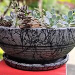 Ukrasna tegla za cvijeće Alabama veličine xxl dizajnirana i proizvedena u celbet tehnici sa skupinom sukulenata kao dekoracijom. Dekorativne unikatne tegle za cvijeće.