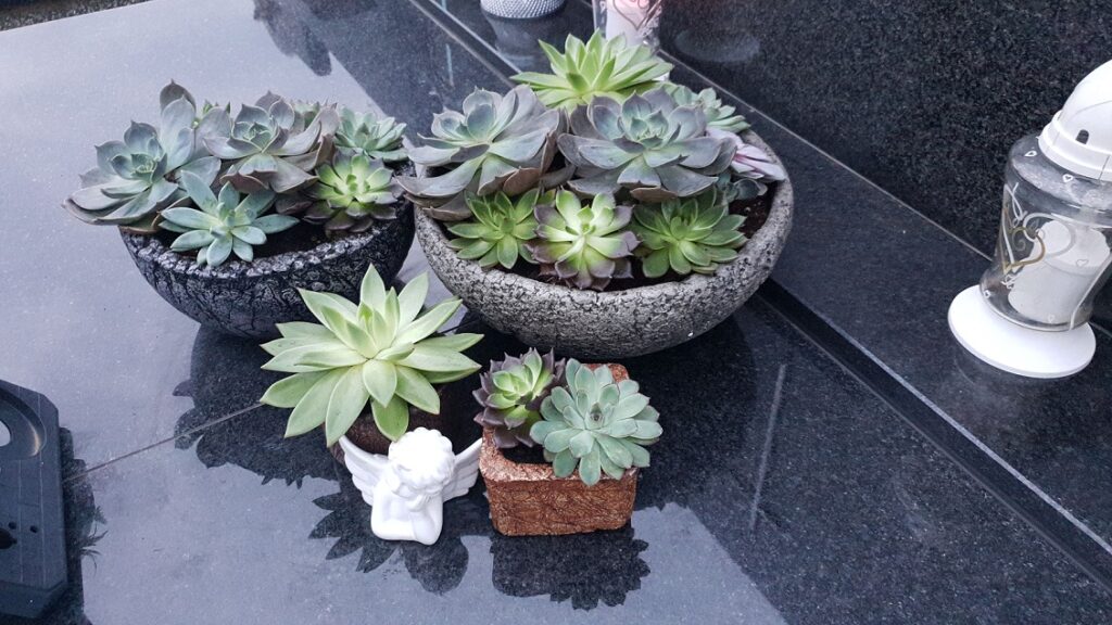 Uređeno grobno mjesto Arizonom i drugim celbet teglama