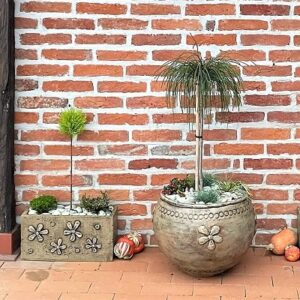 Grande tegla za cvijeće smeđa ručni rad posađena