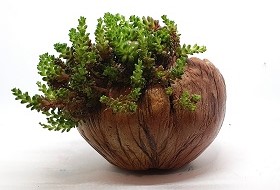 Ukrasna celbet tegla Unikko M smeđa sa sukulentom