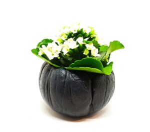 Unikko ukrasna celbet tegla crna