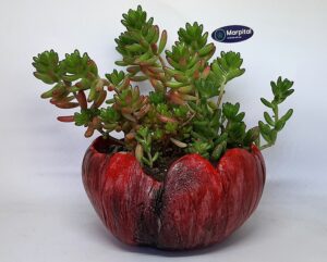 Unikko m celbet tegla za cvijeće crveno crna