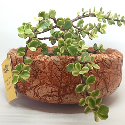 Tegla za cvijeće Florida unikatna narančasta 32162