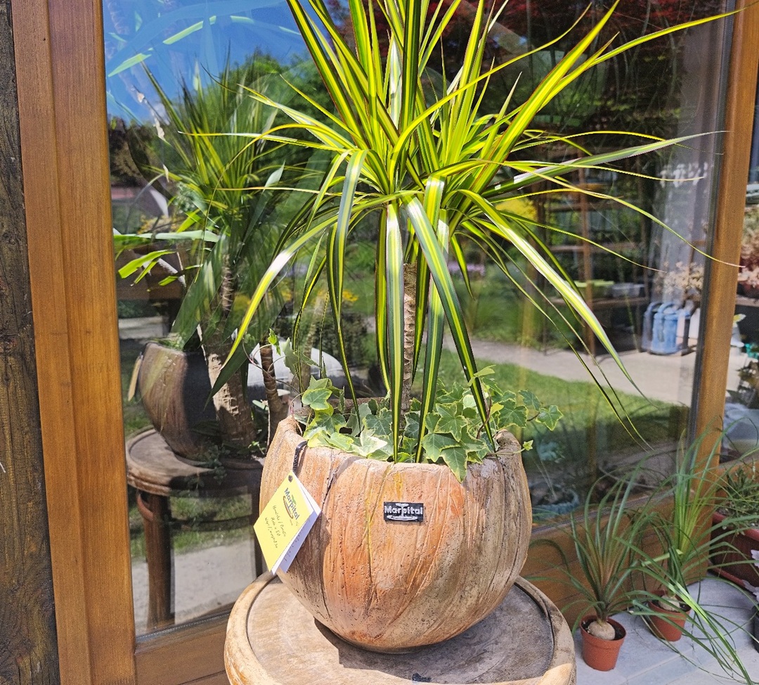 Tegla za cvijeće Roma kora drveta svijetla