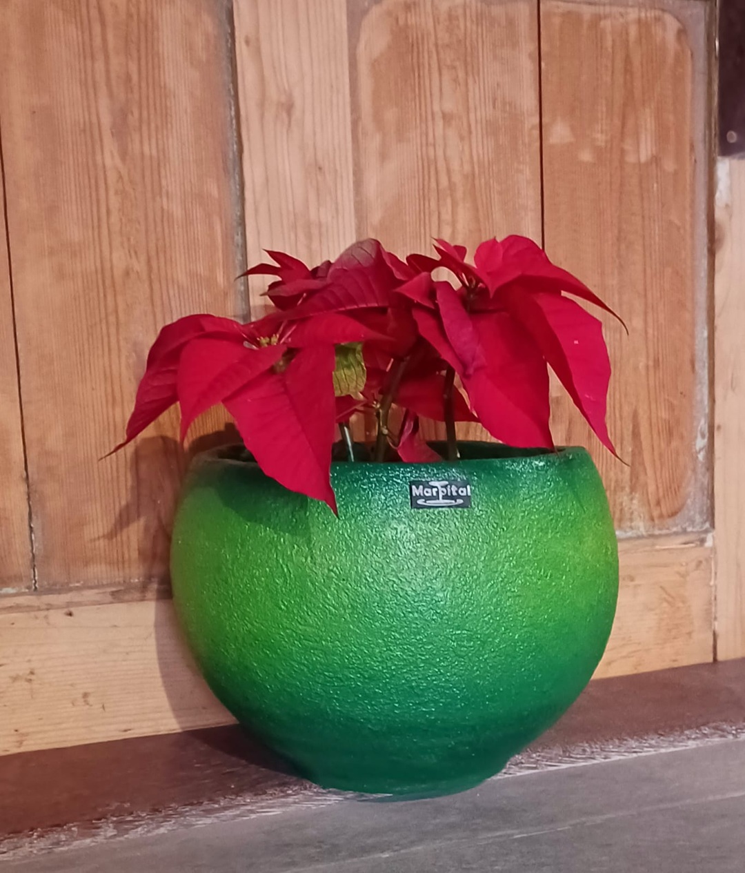 Tegla za cvijeće Roma ukrasna zelena