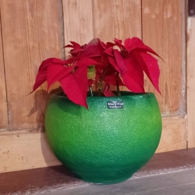 Roma tegla za cvijeće zelena