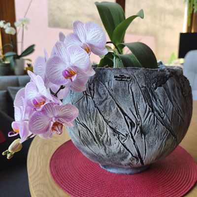 Roma tegla za cvijeće sivo crna kora