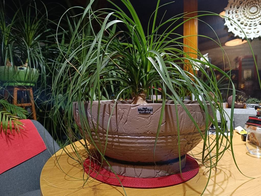 Alabama tegla za cvijeće sivo crna sa utorom